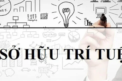 Quy định về chuyển giao quyền sở hữu nhãn hiệu