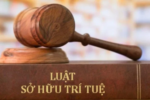 Luật sở hữu trí tuệ 2005