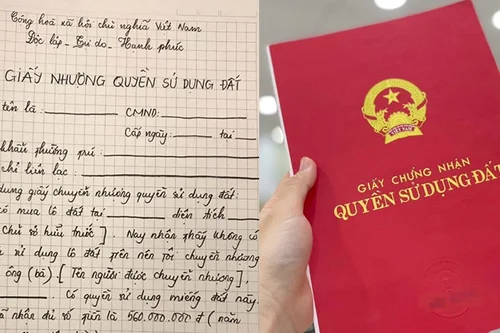 Quy định về việc cấp giấy chứng nhận quyền sử dụng đất cho đất mua bán bằng giấy viết tay