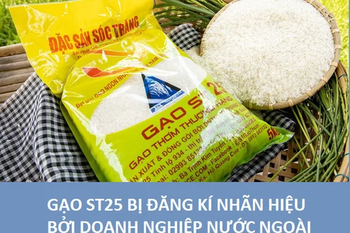 Vấn đề về bảo hộ nhãn hiệu gạo ST25